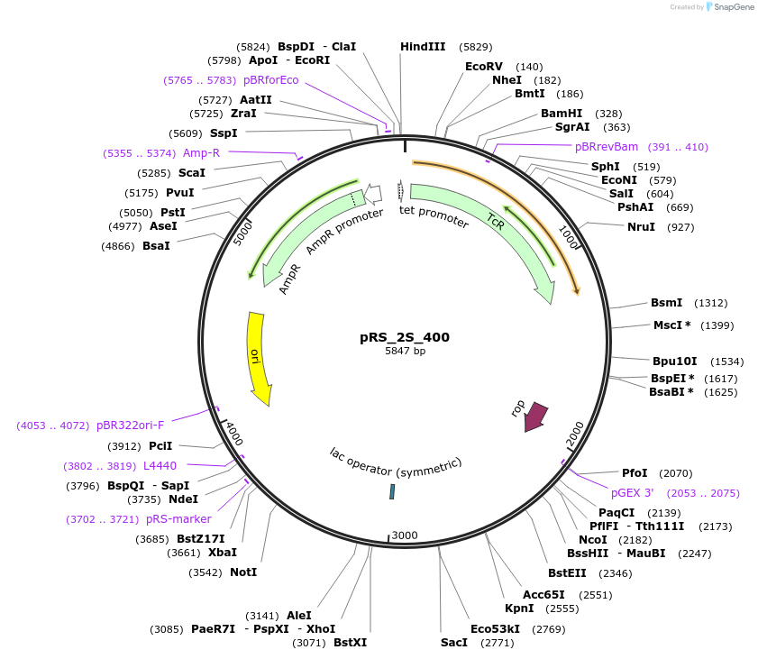 330579_map