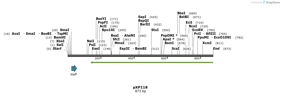 33058_map
