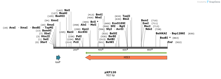 33059_map