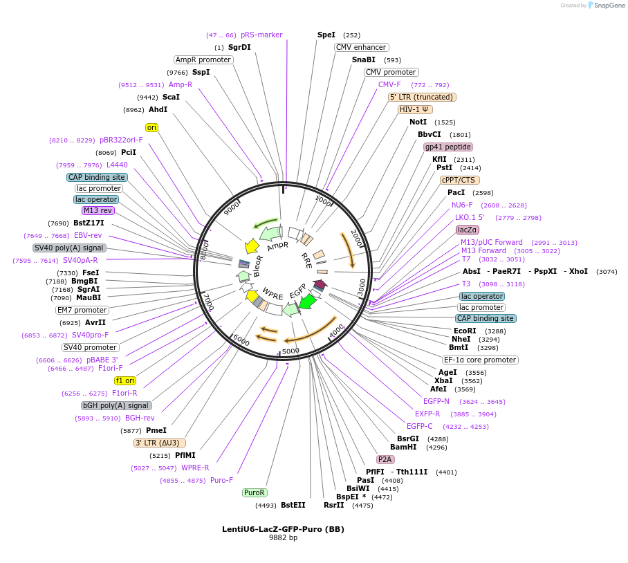 330590_map