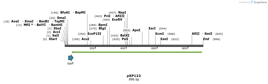 33060_map