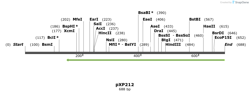 33061_map