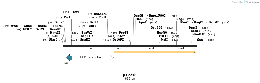 33063_map