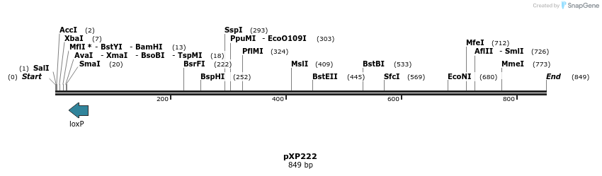 33066_map