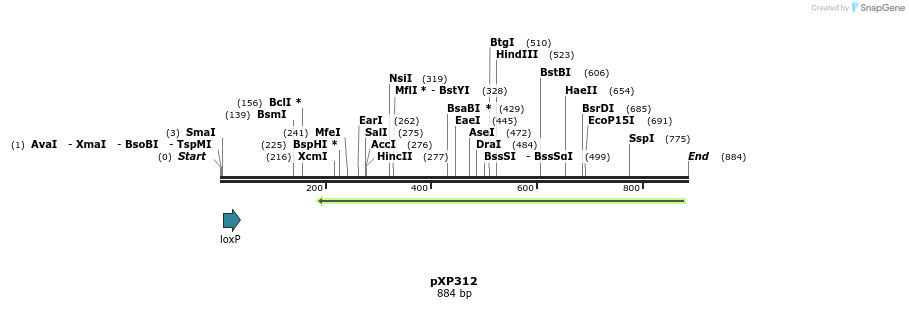 33067_map