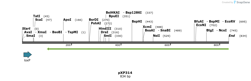 33068_map