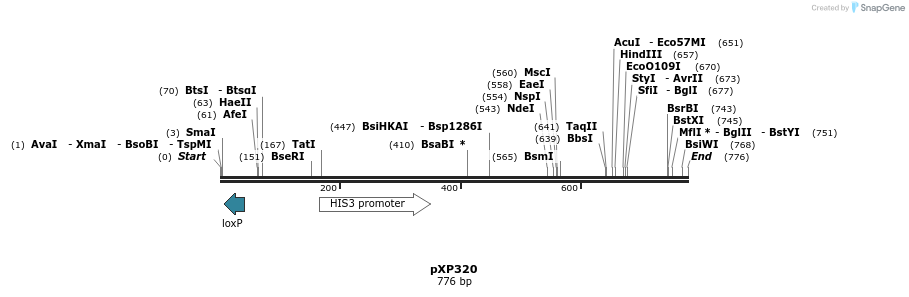 33071_map