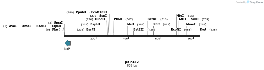 33072_map