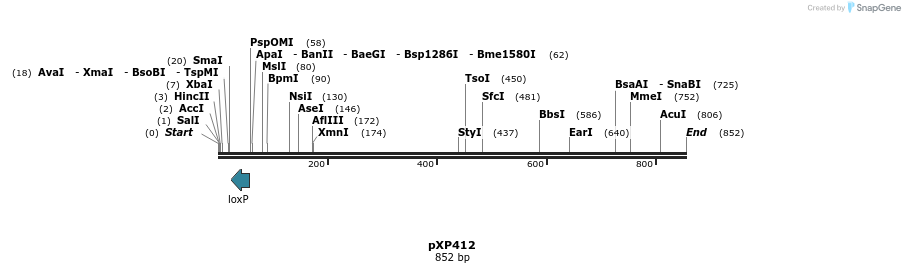 33073_map