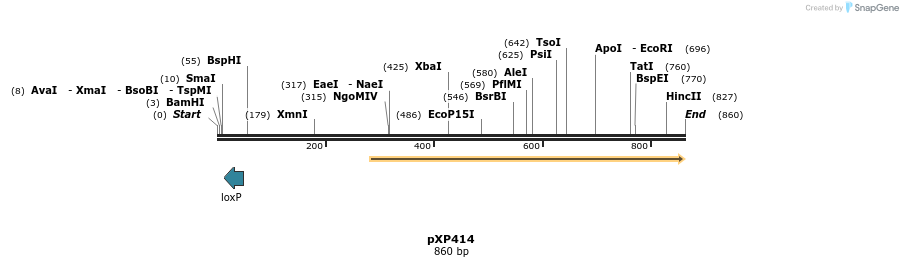 33074_map
