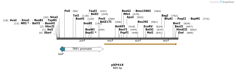 33075_map