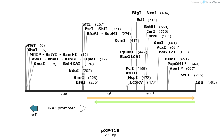 33076_map