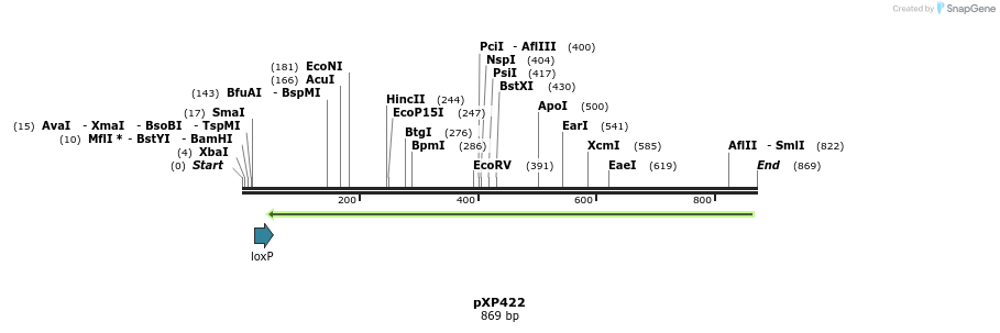 33078_map