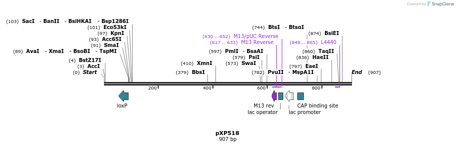 33079_map