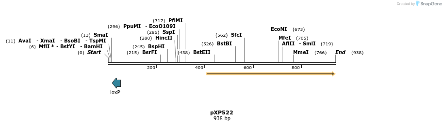 33080_map