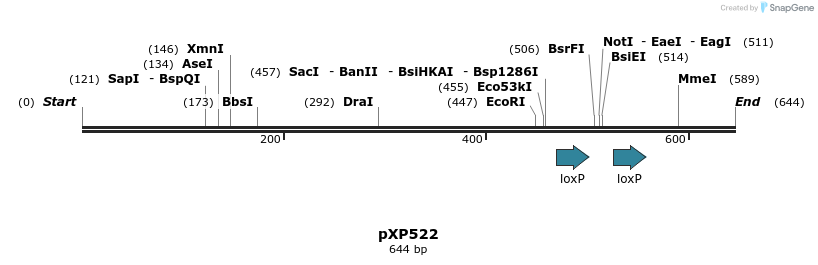 33081_map