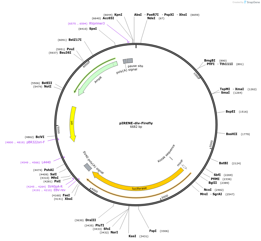 330811_map
