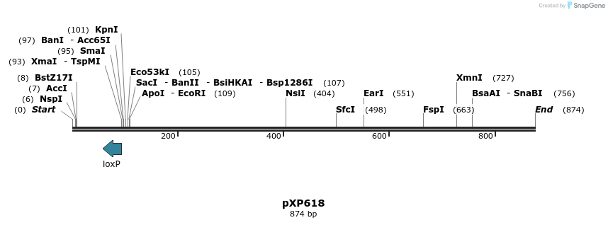 33082_map
