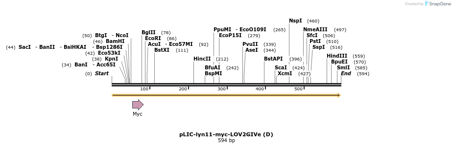 330823_map