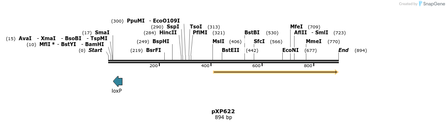 33083_map
