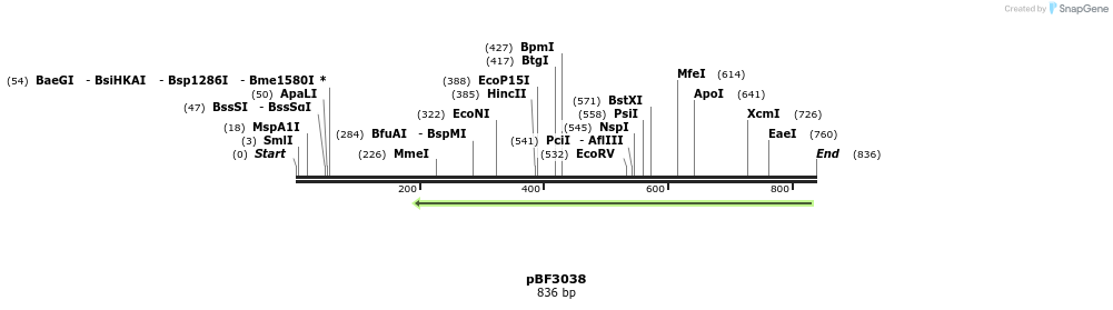 33085_map