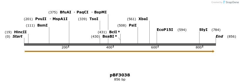 33086_map