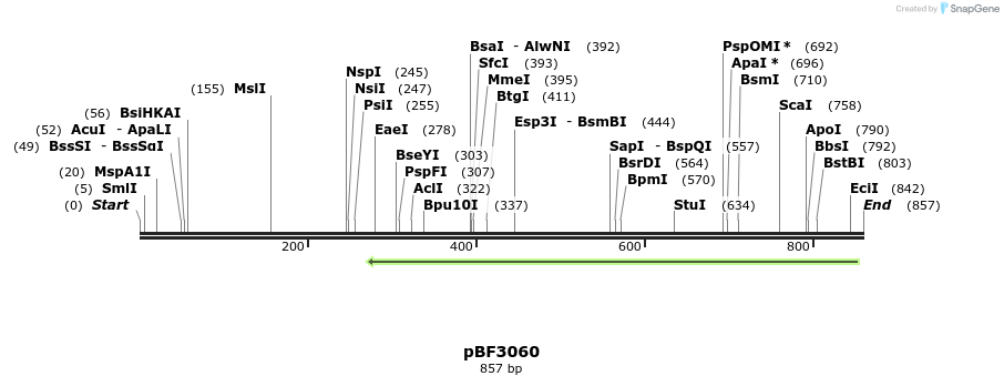 33087_map