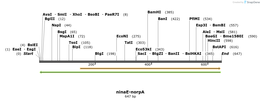 33097_map