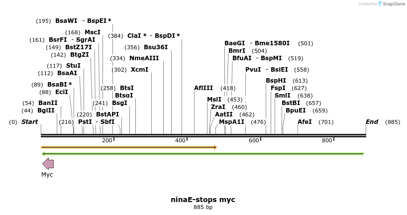 33100_map