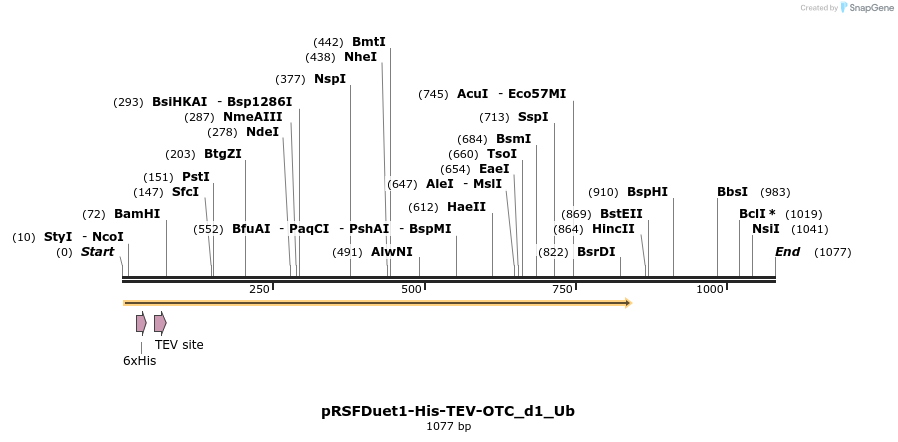 331015_map
