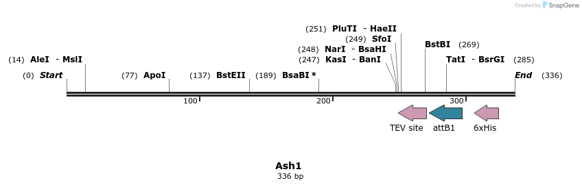 331054_map