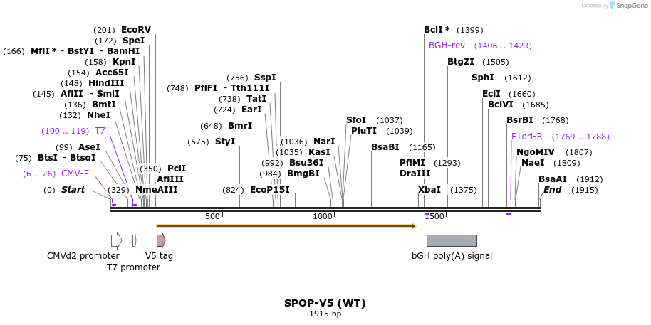 331058_map