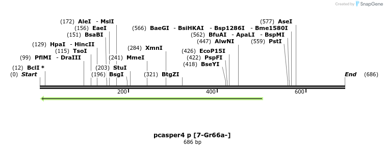 33106_map