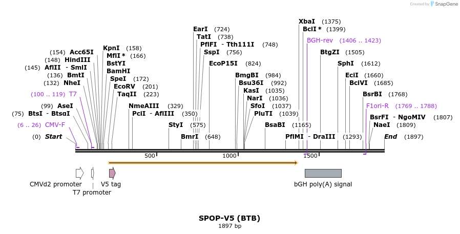 331063_map