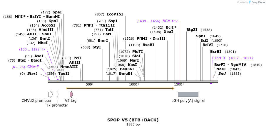 331066_map
