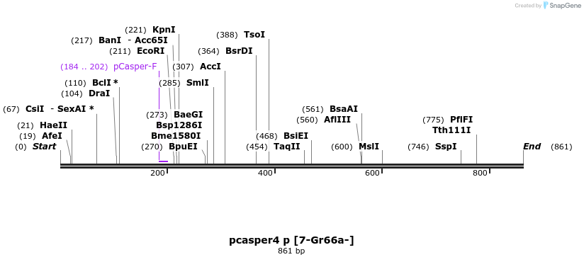 33107_map