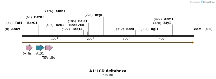 331073_map
