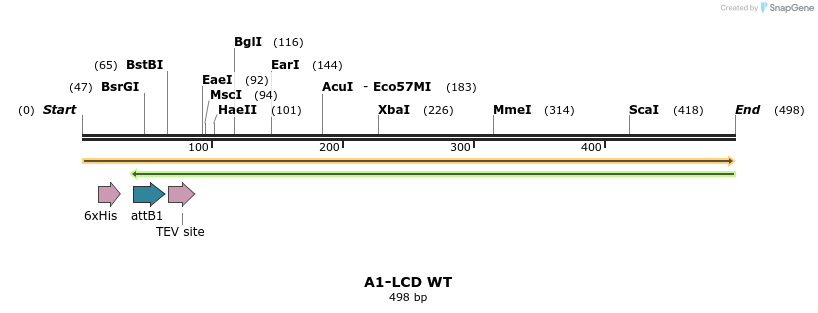 331076_map