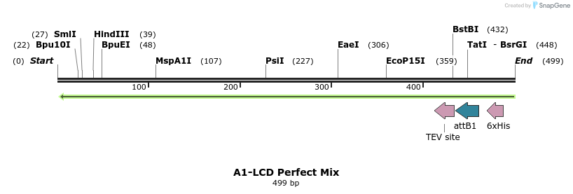 331079_map