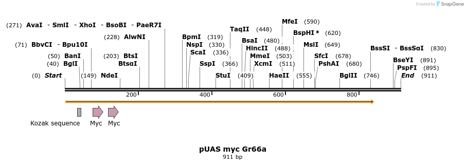 33108_map