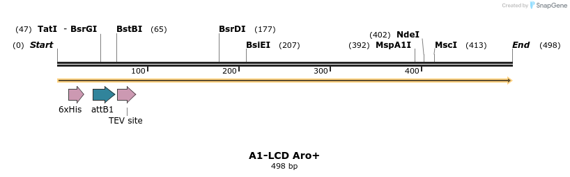 331080_map