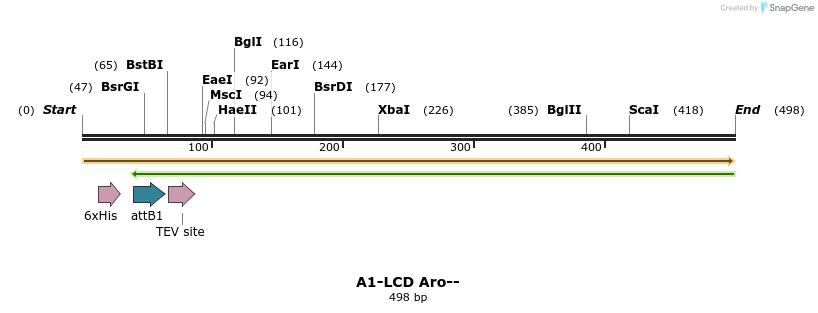 331082_map