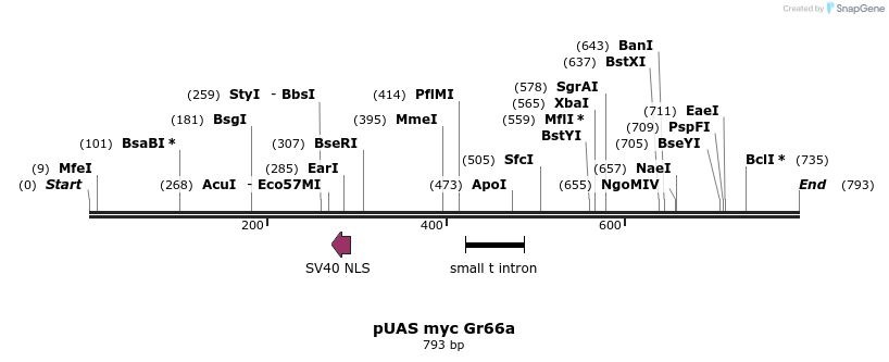 33109_map