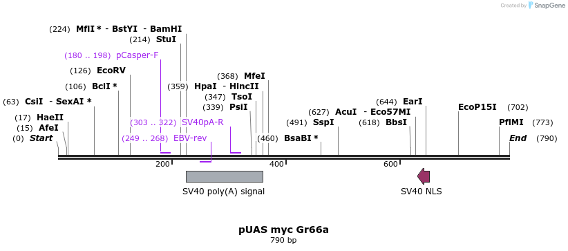 33110_map