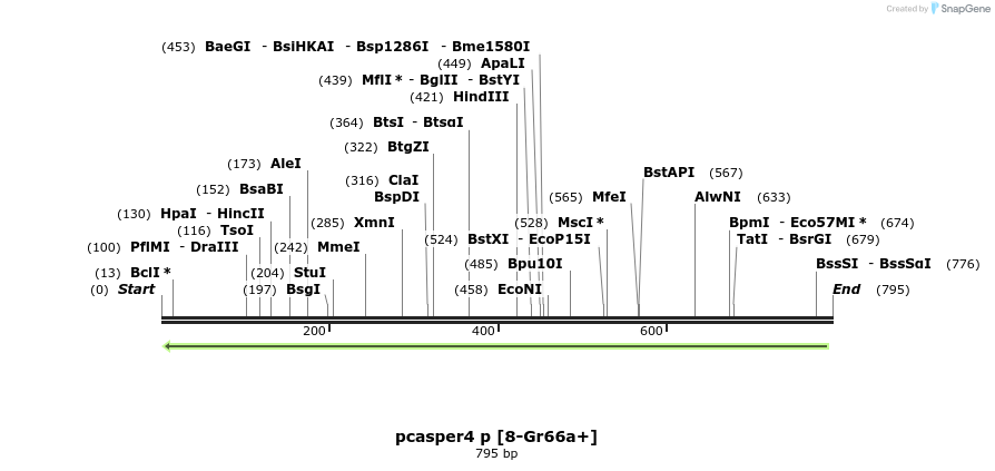 33111_map