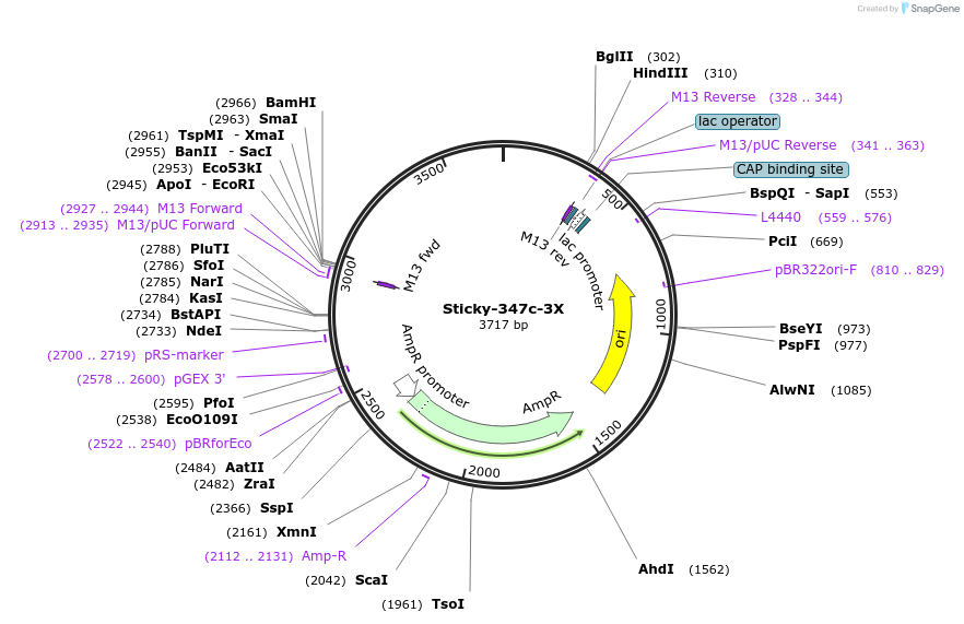 331120_map