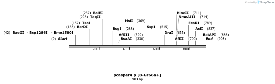 33113_map