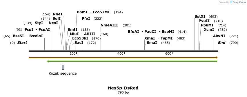33115_map