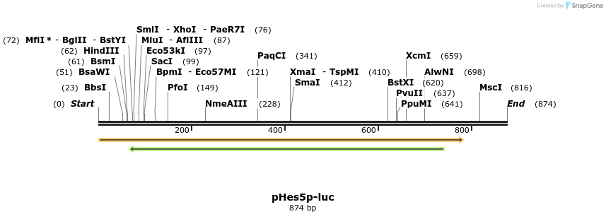 33116_map