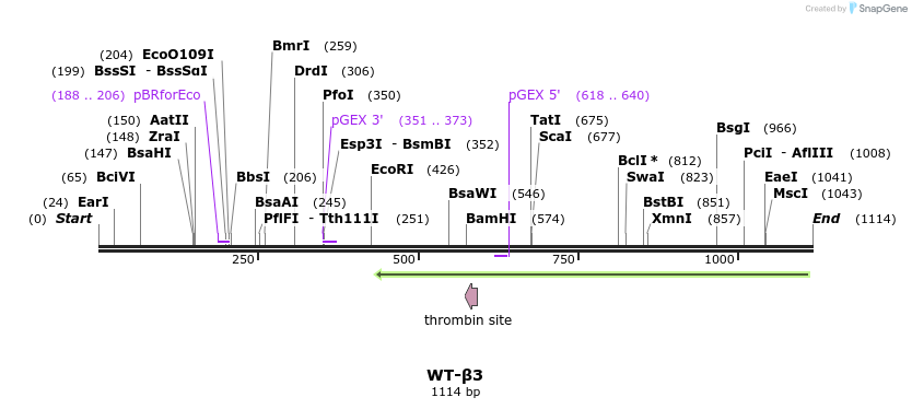 331187_map
